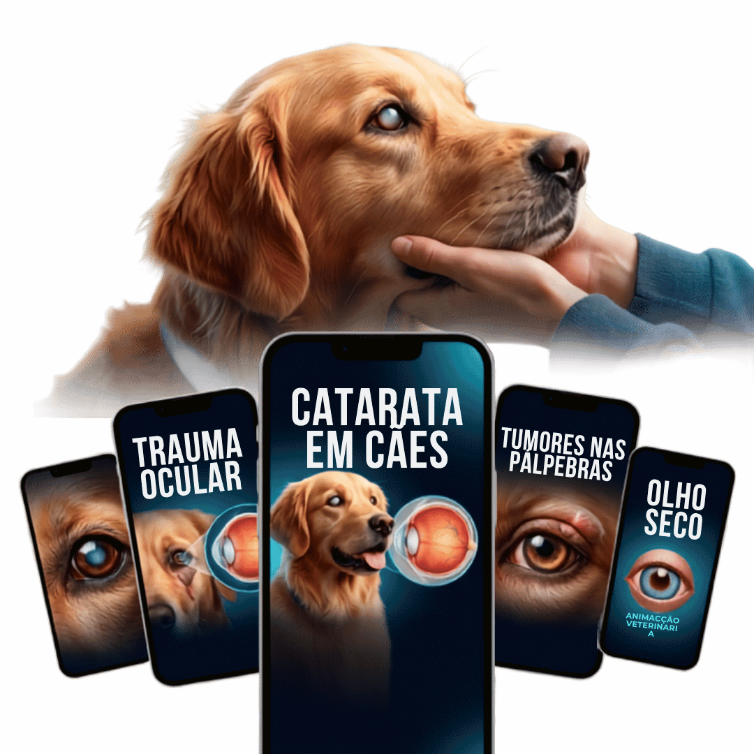 Mockup Oftalmologia Veterinária